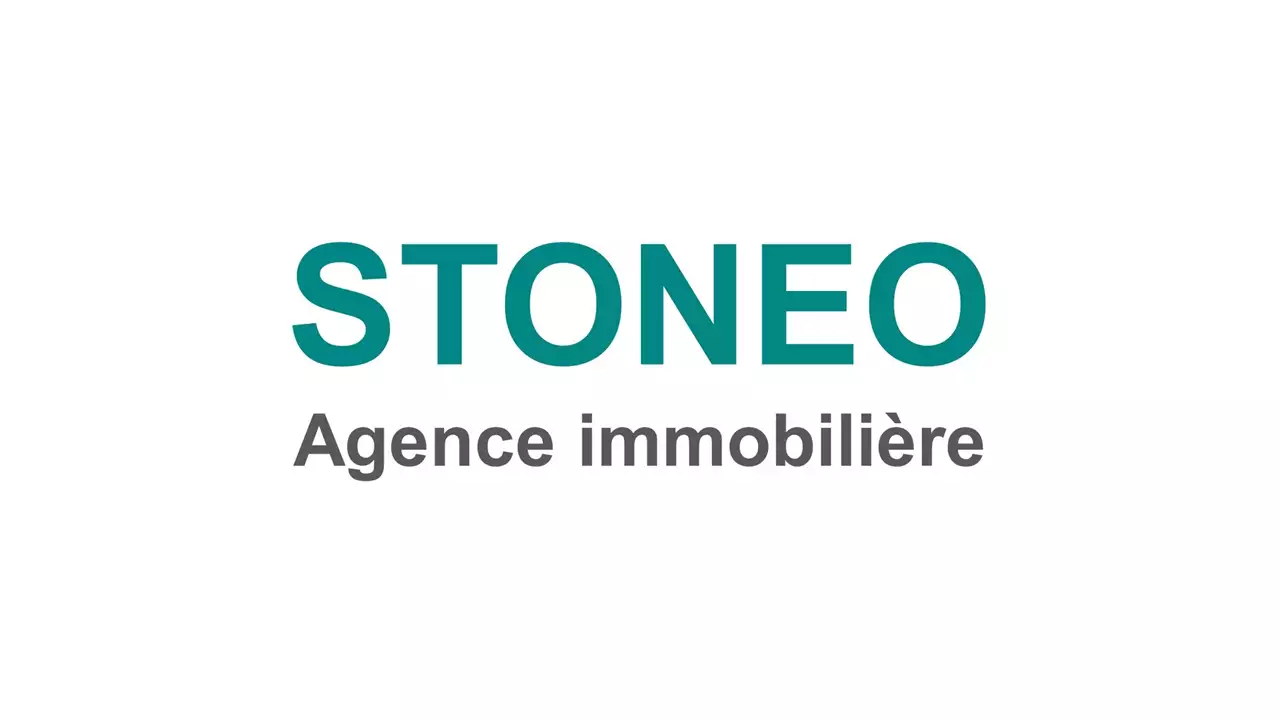 logo stoneo